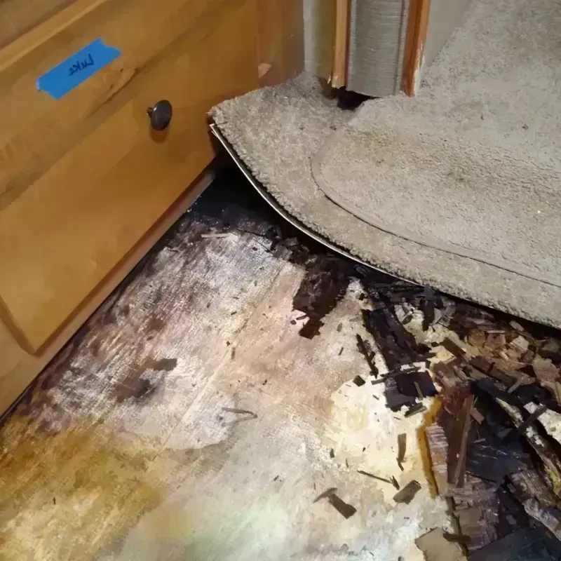 Wood Floor Water Damage in Wilmette, IL